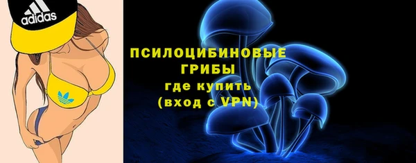 PSILOCYBIN Гусиноозёрск