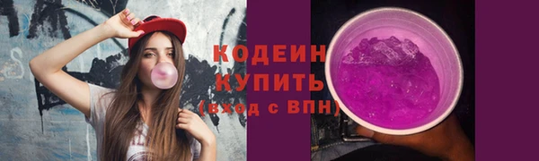 крисы Гусев