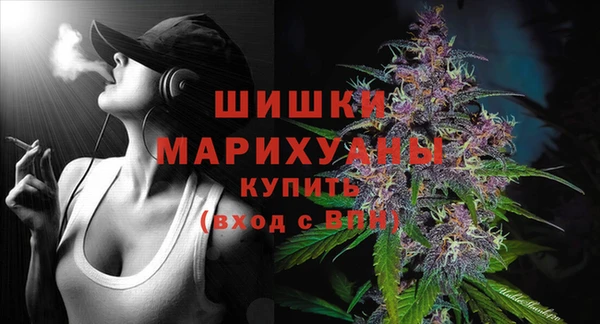 PSILOCYBIN Гусиноозёрск