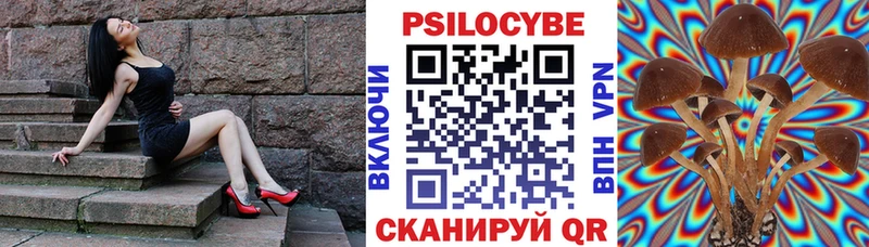 Галлюциногенные грибы Psilocybine cubensis Шиханы
