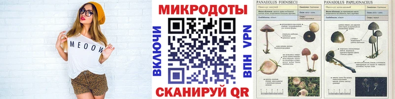 Купить закладки  Шиханы  Псилоцибиновые грибы мицелий 